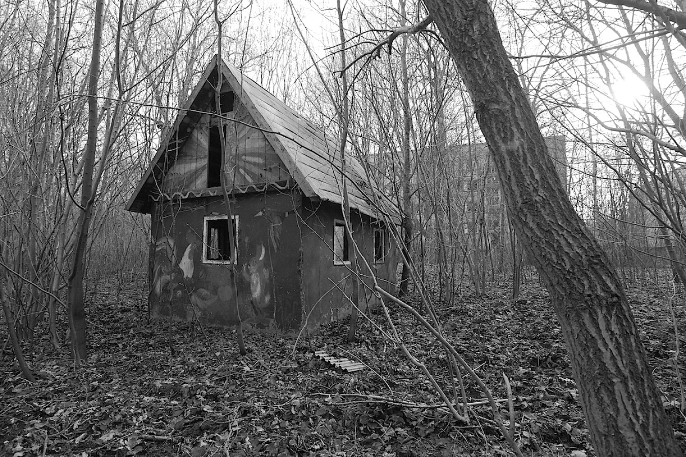 image6